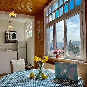 Pigeon Guest house
